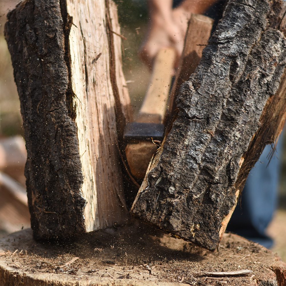 Late Fall Pest Preparedness Checklist